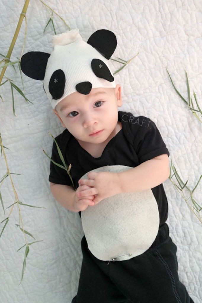 1497891830-panda-baby-costume.jpg