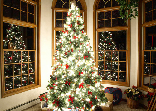christmas_tree_9.jpg