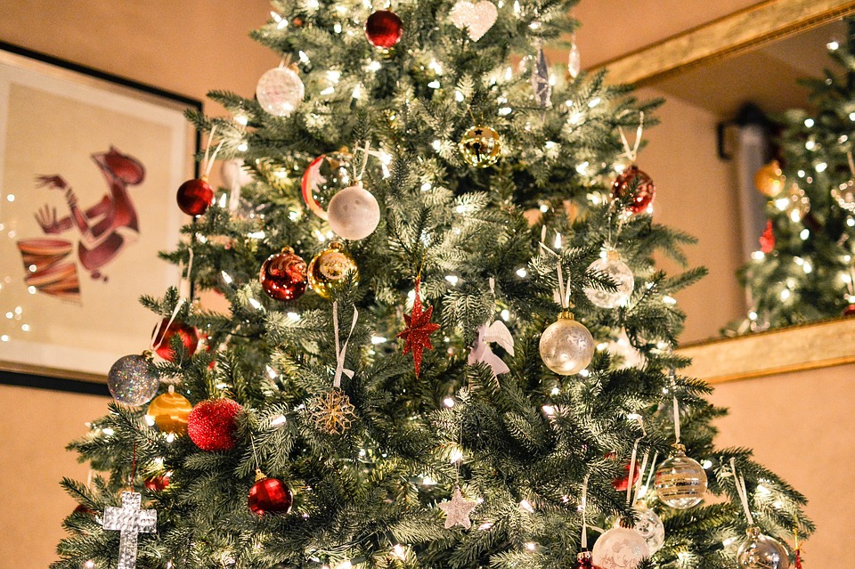 christmas-tree-1081981_960_720.jpg
